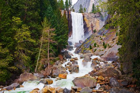 April flowers, Yosemite waterfalls, and a FREE Night Too! - The Redwoods in Yosemite