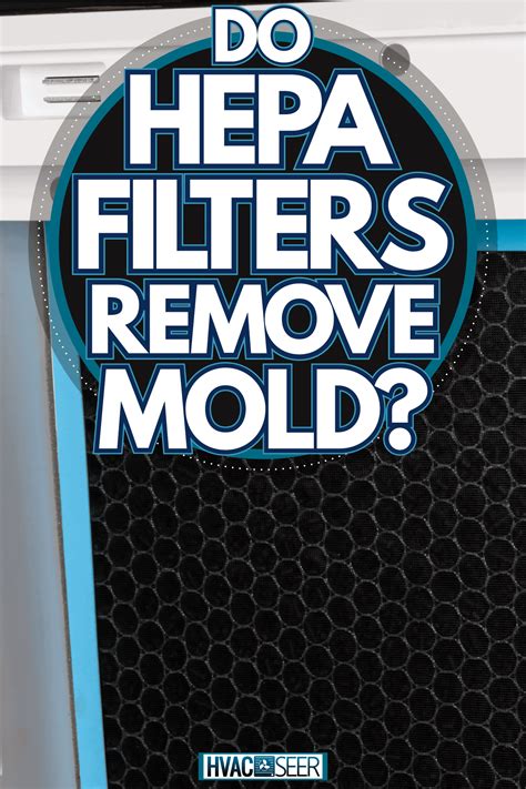 Do HEPA Filters Remove Mold? - HVACseer.com