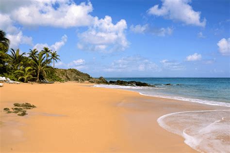 Vieques Snorkeling The Ultimate Guide - Traveler Manual