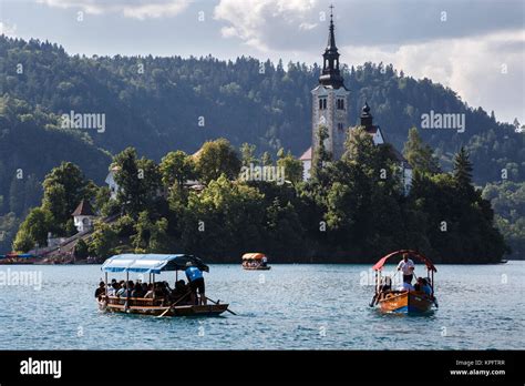 Pletna boats ferrying tourists to Bled Island, Lake Bled, Slovenia Stock Photo - Alamy