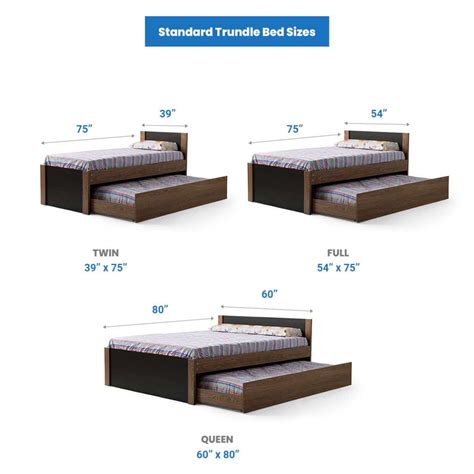 Trundle Bed Dimensions (Standard Height & Width)