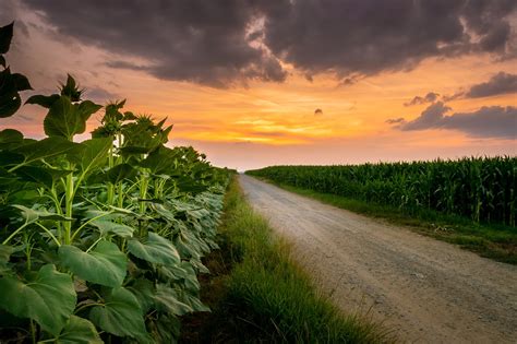 Agriculture Atmosphere Background - Free photo on Pixabay