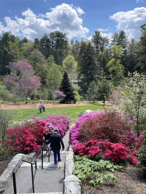 Visiting Biltmore Estate in the Spring