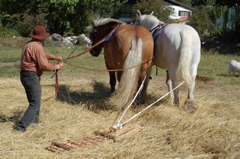 Artisanat et savoir-faire : archéologie des techniques - Le tribulum : réflexions sur l ...