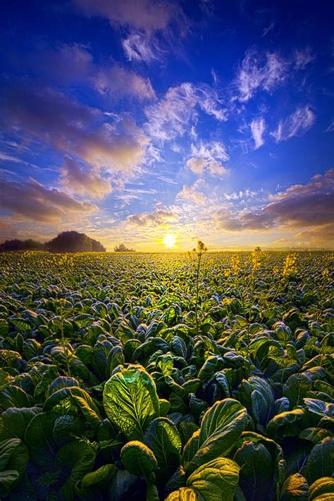 Photograph Living Off The Land by Phil Koch on 500px | Farm scenery ...