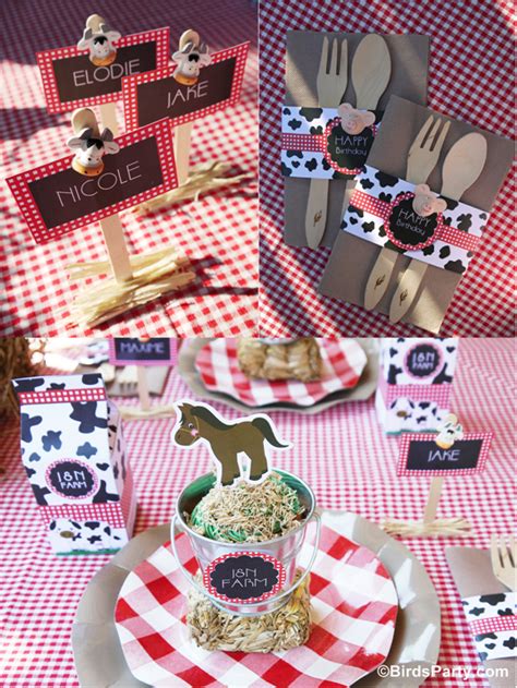 My Kids' Joint Barnyard Farm Birthday Party - Party Ideas | Party Printables Blog