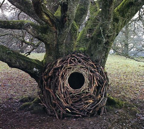 Andy Goldsworthy’s Land Art Photography - IGNANT