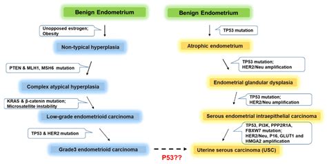 Cancers | Free Full-Text | Pathogenesis and Clinical Management of ...