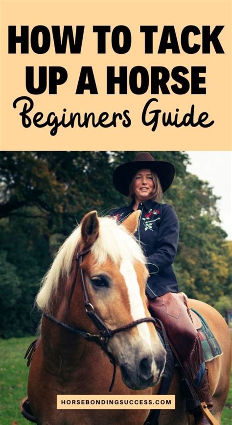 How to Tack Up a Horse (for Beginners) – Horse Bonding Success | Horses ...