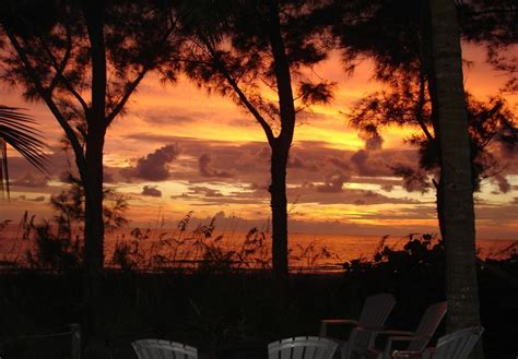 the sun is setting behind some trees with chairs in front of them and ...