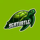 Sea Turtle