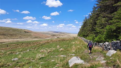 Dartmoor Hiking Trails: Postbridge to Fernworthy Reservoir - Passport ...