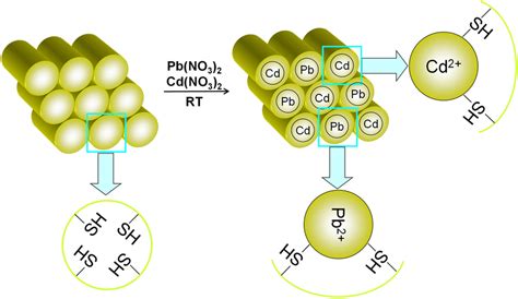 Schematic representation of the structure of thiol functionalized... | Download Scientific Diagram