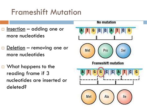 PPT - Chapter 14 Section 1 PowerPoint Presentation, free download - ID ...