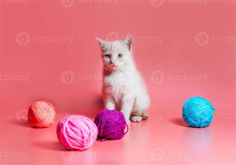 Kitten with yarn 2236624 Stock Photo at Vecteezy