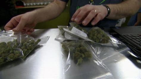 Your Guide to Marijuana in Illinois | Chicago News | WTTW