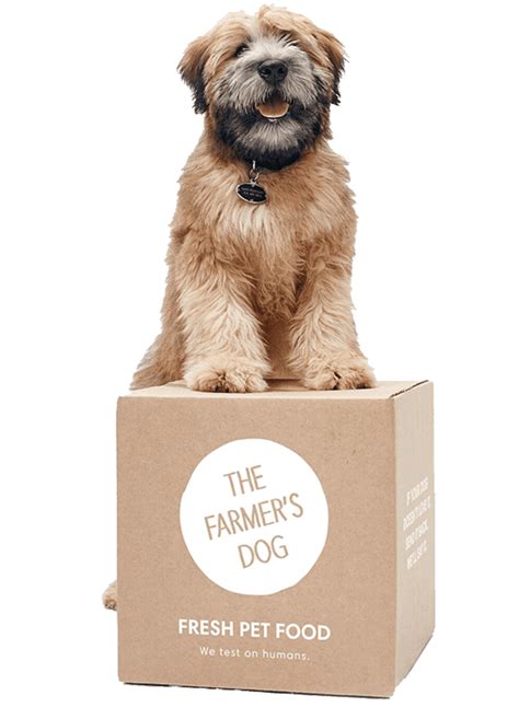 Courier Service For Animals Uk - Animal Live