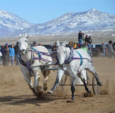 Chariot Races | Sinclair Oil