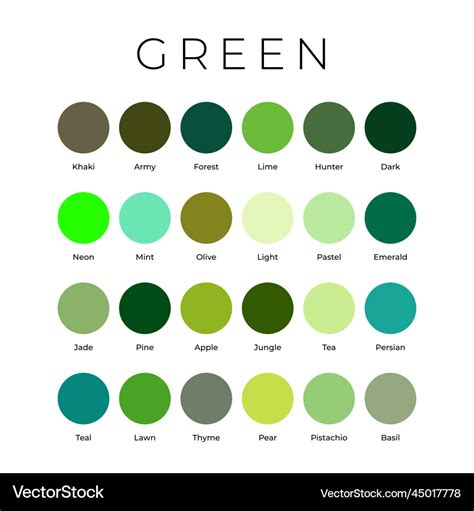 Green color shades swatches palette with names Vector Image