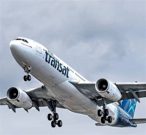 Shocking: Air Transat Flight Evacuated As Insects Fall From Above