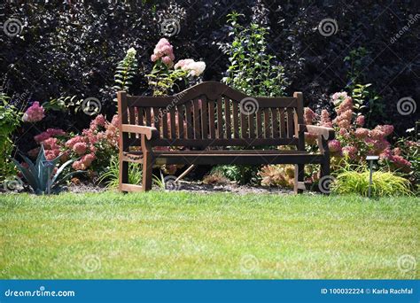 Sitting bench in garden stock photo. Image of recreation - 100032224