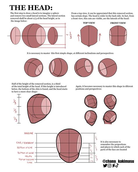 Head Construction Basic Tips by ChanaKakimasu on DeviantArt