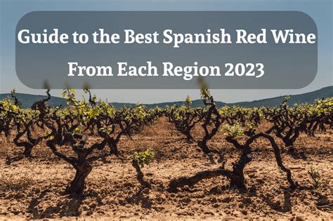 Guide to the Best Spanish Red Wine From Each Region 2024