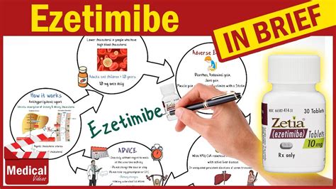 Ezetimibe 10mg ( Zetia ): What Is Ezetimibe Used For? Uses, Dose and ...