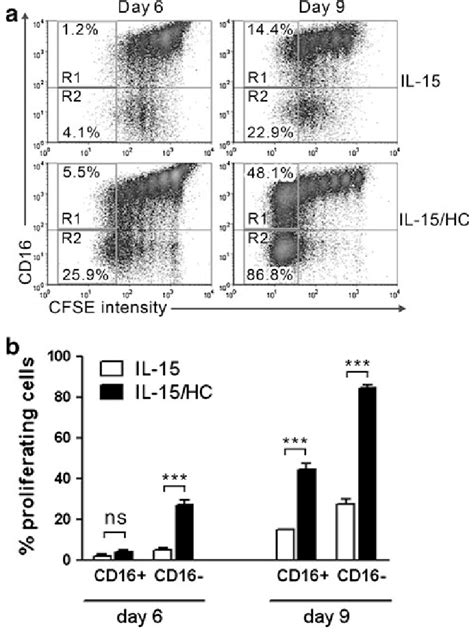 CD16 expression defines NK cell populations with different... | Download Scientific Diagram