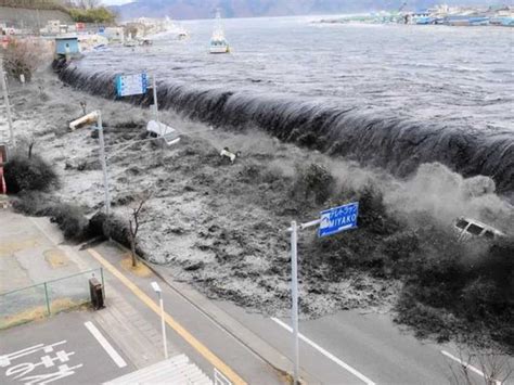 Penny Edwards Info: Japan Tsunami October 2023