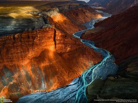 Here Are The National Geographic Nature Photographer Of The Year 2017 ...