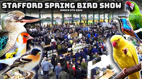 Stafford Spring Bird Show 2023 - HUGE Bird Sale - YouTube