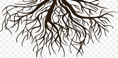 Drawing Clip Art Root Vector Graphics Tree, PNG, 838x415px, Drawing, Art, Artwork, Black And ...