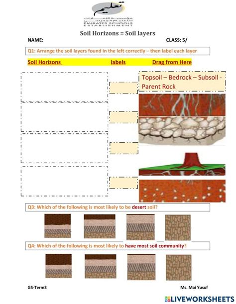 soil layers worksheet with pictures and text