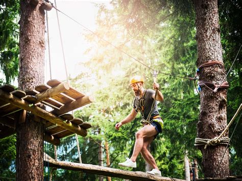 Accrobranche adultes dans les Cévennes - Bureau des moniteurs