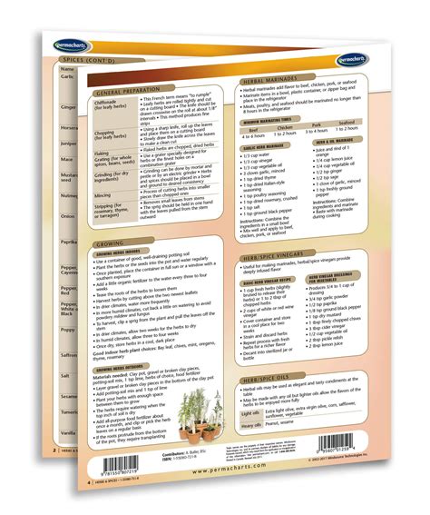 Herbs and Spices Chart - Quick Reference Guide