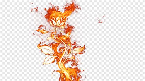 Fire Flame, Fire Elemental, orange, flowers png | PNGEgg