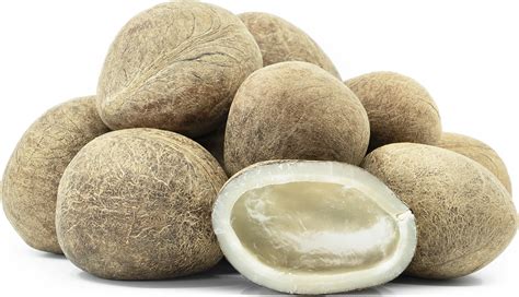 Dry Coconut Information and Facts