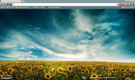 Chrome Themes: Nature 2 Chrome Theme