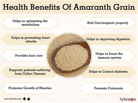 Benefits of Amaranth Grain And Its Side Effects | Lybrate