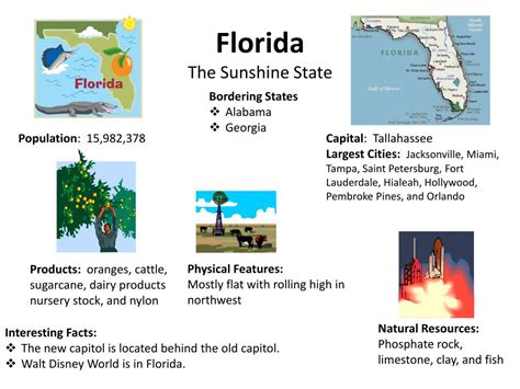 PPT - Florida The Sunshine State PowerPoint Presentation, free download ...