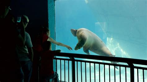 Parque Zoologico de Chapultepec Pictures: View Photos & Images of ...