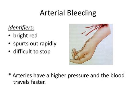 Types Of Bleeding