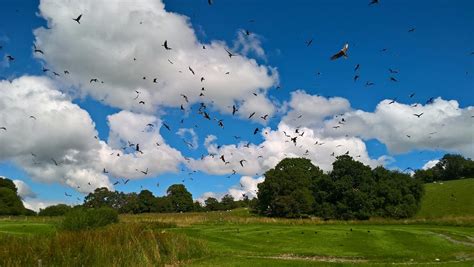 THE 15 BEST Things to Do in Powys - 2022 (with PHOTOS) - Tripadvisor