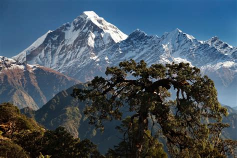 The 14 most beautiful peaks of the himalayas – Artofit