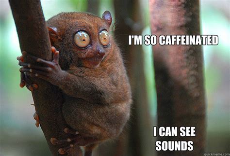 i'm so caffeinated i can see sounds - CAFFEINE! - quickmeme