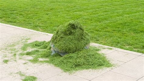 What To Do With Grass Clippings | Creative Uses & Recycling Tips