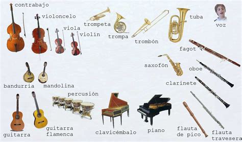 Instrumentos Musicales Con Sus Nombres