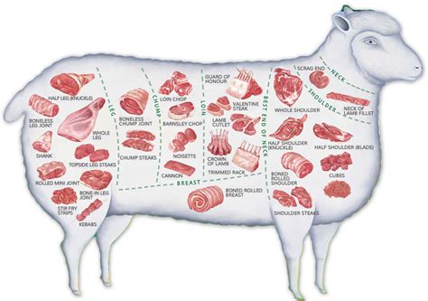 Sheep Cuts Of Meat Chart - Lamb Cuts & Cooking Methods | for the love ...