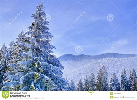 Blue Winter Wonderland Stock Images - Download 18,791 Royalty Free Photos